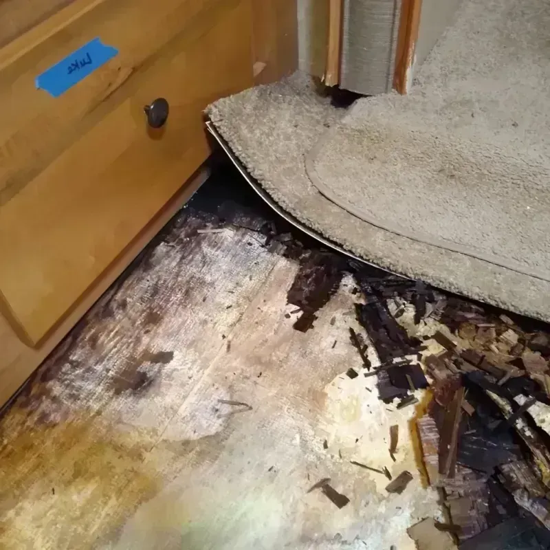 Wood Floor Water Damage in Cockrell Hill, TX